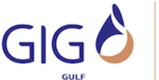 تأمين GIG logo
